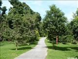 Jardín Botánico de Caguas - CAGUAS